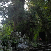 苔むした古い杉並木に囲まれた東堂山満福寺の境内と羅漢石像の写真