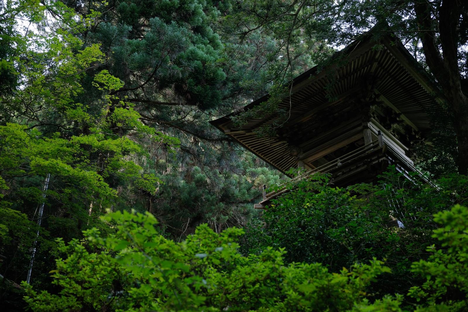 杉や檜の大木が生い茂る寺院の境内に建つ古い木造の鐘楼
