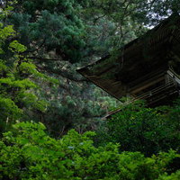 樹齢の深い杉と檜に囲まれた東堂山満福寺の静かな境内の写真