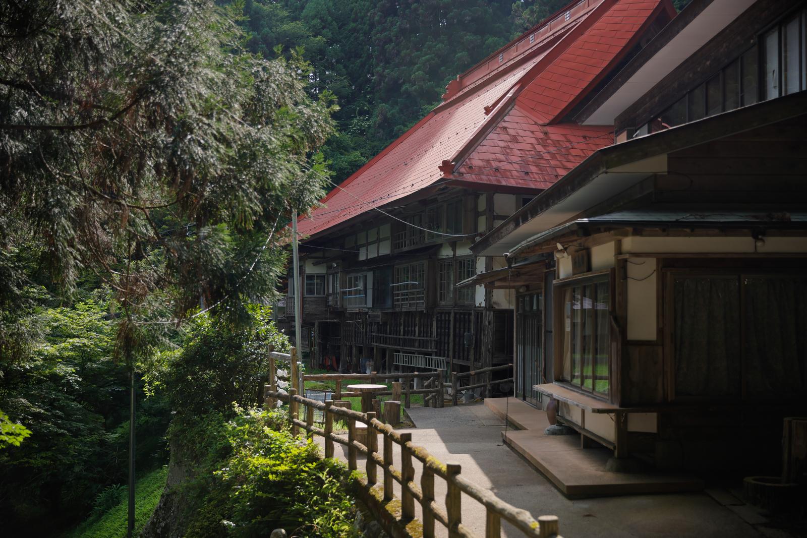 東堂山満福寺の赤い屋根と木造の建屋が緑の樹木に囲まれた境内の通路