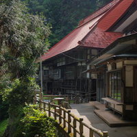 緑に囲まれた東堂山満福寺の通路から眺める境内の写真