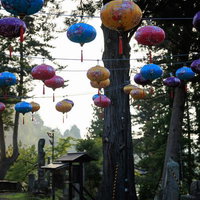 玉川村の光の祭典で乙字ヶ滝の古木に設置されたカラフルなランタンの写真