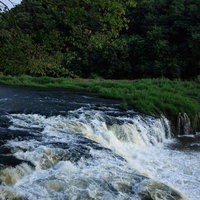 新緑に囲まれた乙字ヶ滝の流れ 福島県玉川村の渓流風景の写真