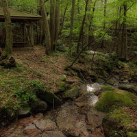 玉川村の東野の清流と森林の休憩所の写真