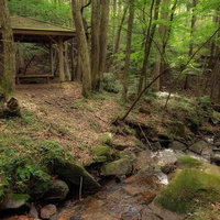 東野の清流が流れる玉川村の杉林と苔むした渓流、東屋の景観の写真