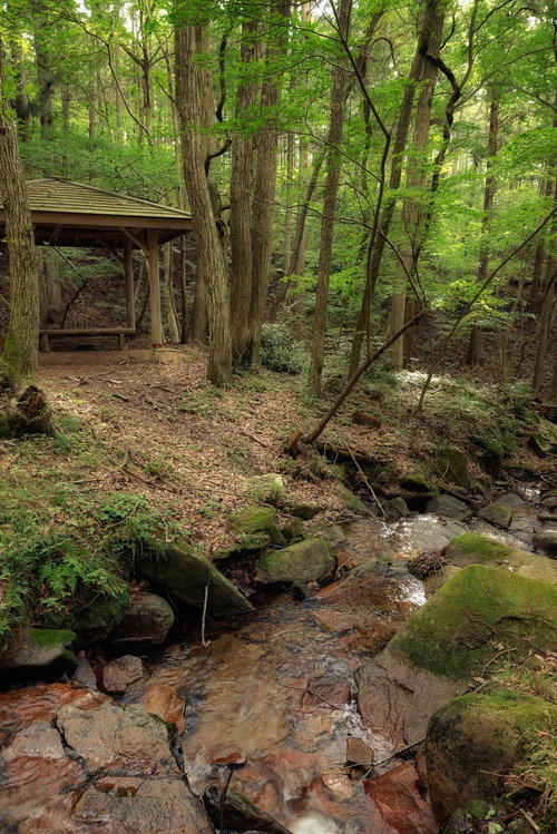 東野の清流が流れる玉川村の杉林と苔むした渓流、東屋の景観