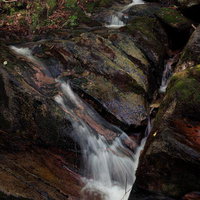 玉川村の東野の清流を流れ落ちる水と苔むした岩肌の写真