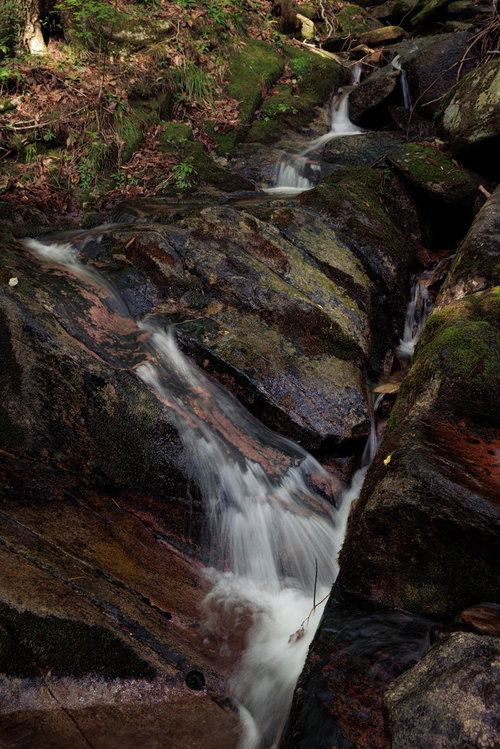 玉川村の東野の清流を流れ落ちる水と苔むした岩肌
