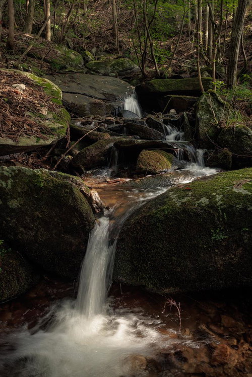 水飛沫が奏でる音楽、玉川村の東野の清流で出会う自然