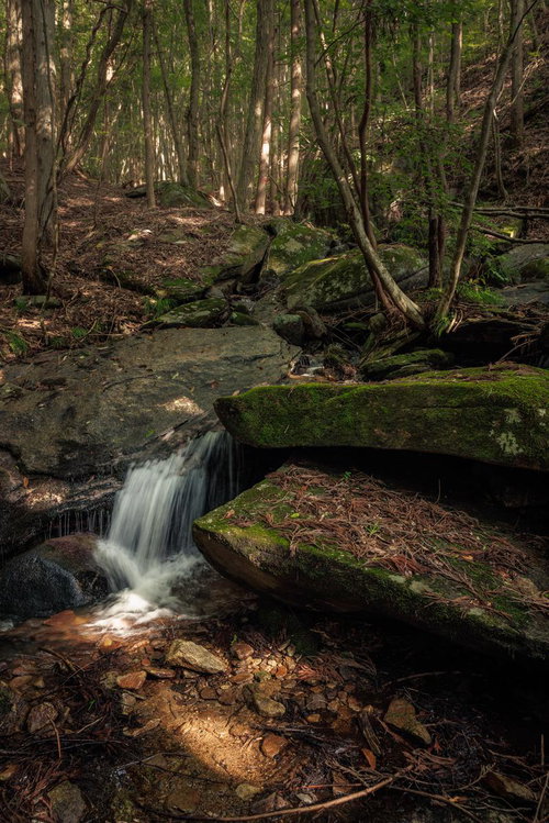 玉川村の東野の清流で感じる水飛沫と岩肌、苔むした渓流の自然風景
