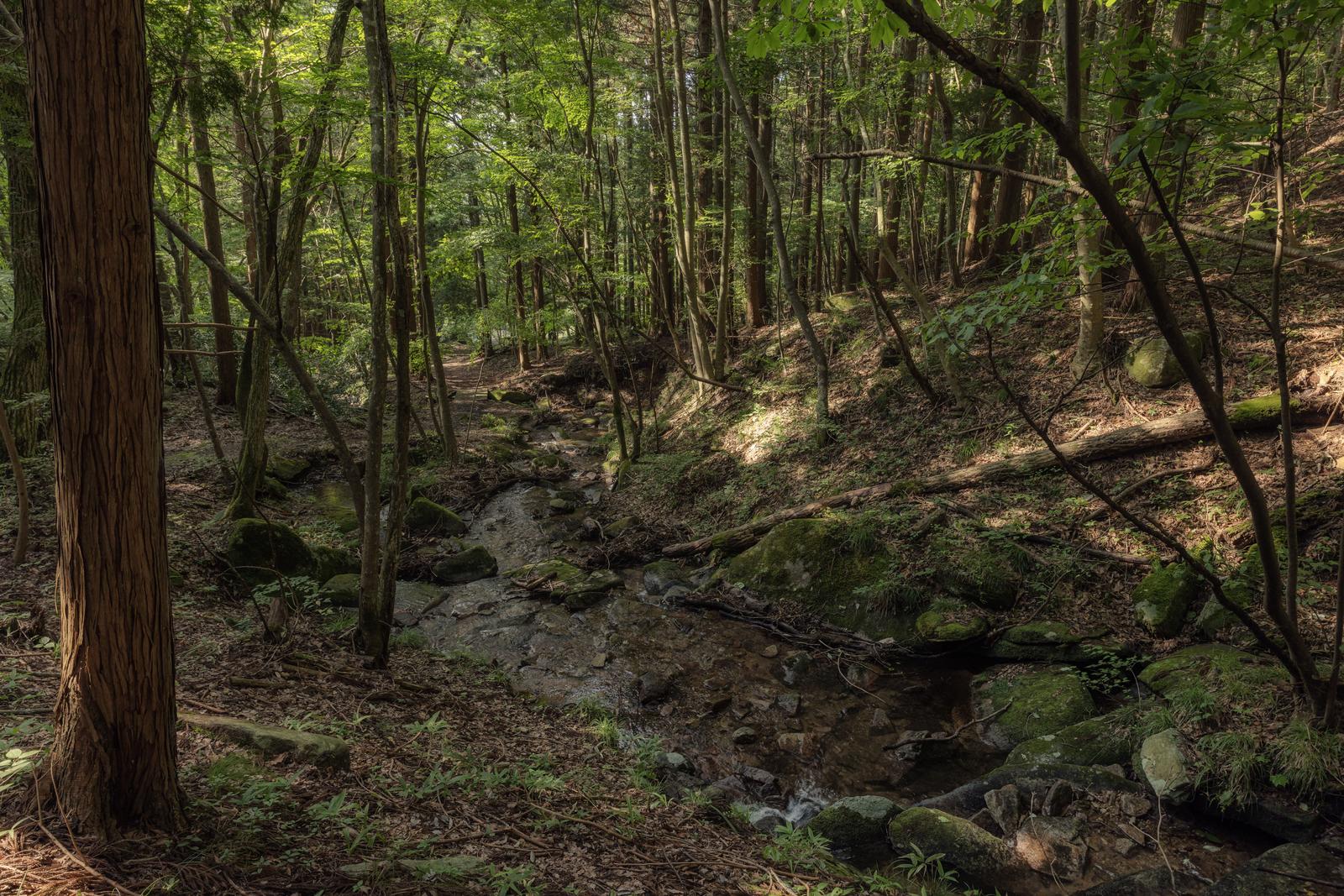 玉川村・東野の森を流れる苔岩の渓流