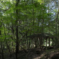 東野の清流沿いの東屋で感じる木漏れ日の写真