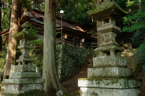 老杉の根元に建つ石灯籠と古殿八幡神社の社殿