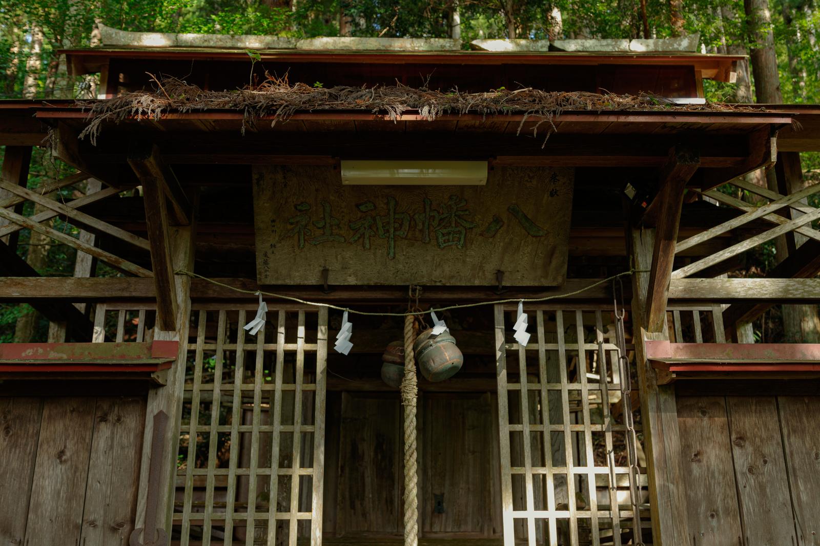 古殿八幡神社の本坪鈴と鳥居。木製の鳥居上部に枯れ草が見え、垂れた緒の先に鈴がある