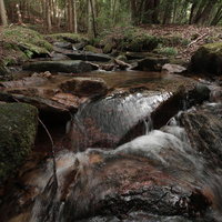 玉川村の東野の清流に流れ落ちる水と苔むした岩の写真