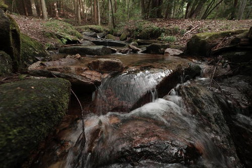 玉川村の東野の清流に流れ落ちる水と苔むした岩