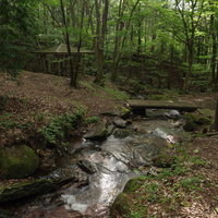 玉川村の東野の清流に架かる東屋と雑木林の風景の写真