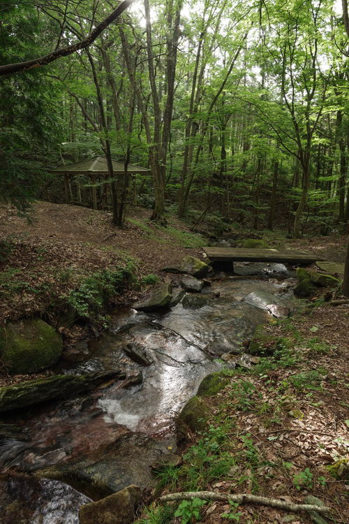 玉川村の東野の清流に架かる東屋と雑木林の風景