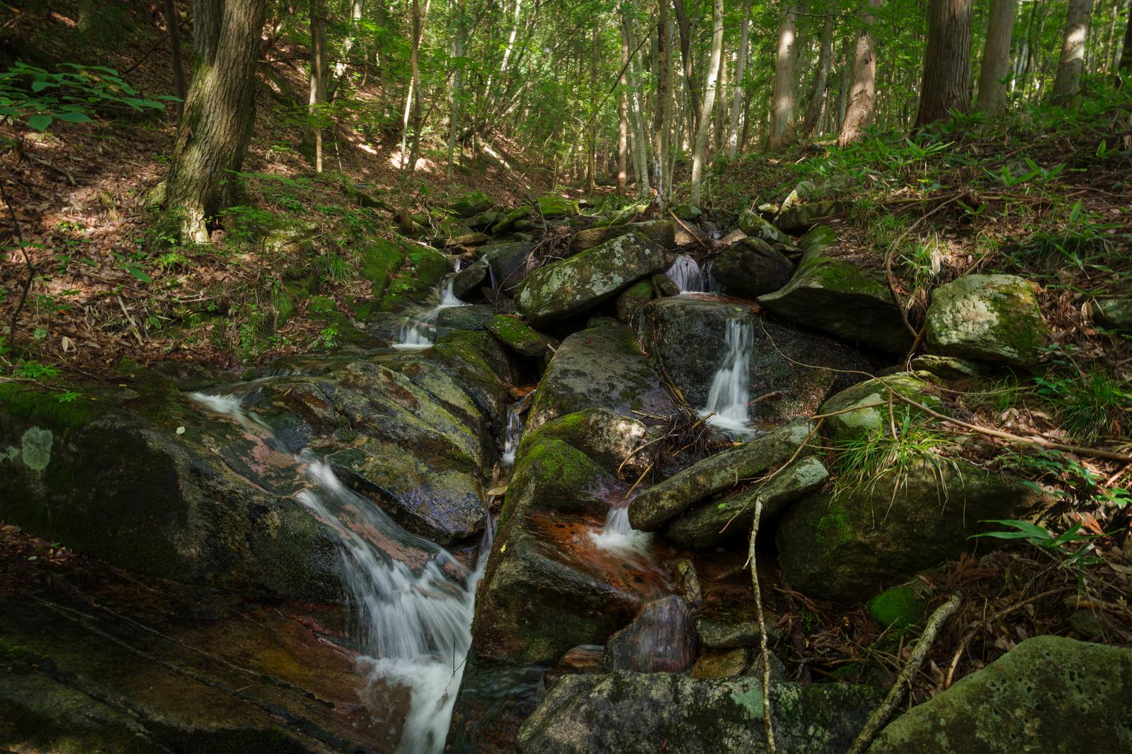 深い林の中の渓流で、苔むした岩の上を清流が流れ落ちている風景