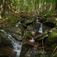 苔むす岩肌を流れ落ちる東野の清流～福島県玉川村の渓流風景の写真