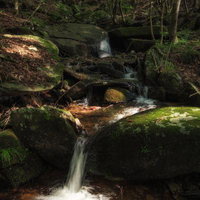 長命の清水の覆い屋と新緑の森の写真
