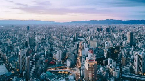 夕焼けに染まる大都会の街並み・俯瞰した高層ビル群と街灯の夜景