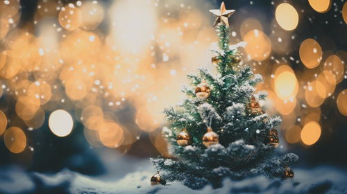 雪が積もる小さなクリスマスツリーのライトアップ