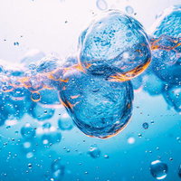 培養液の怪しい気泡が浮遊する様子、オレンジ色に輝く泡の顕微鏡の写真