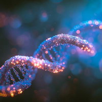 光が集まる螺旋状の染色体風の構造：DNA遺伝子の写真