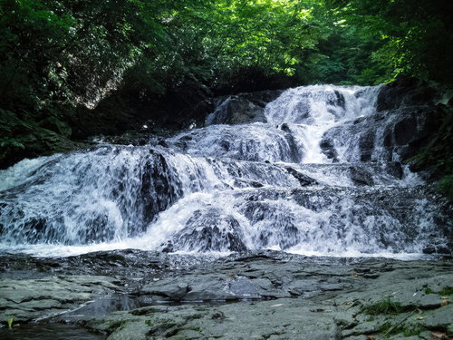 長野原町の魚止めの滝の夏の清流と岩肌、白い水流