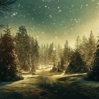 舞い散る雪と光るモミの木の写真