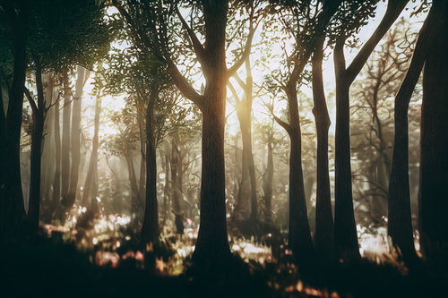 朝日が差し込む林間の木々のシルエット、光と影が交差する早朝の森