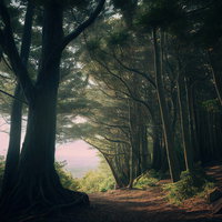 森から抜けた湖面の景色 登山道から見える淡いピンク色に染まった湖の写真
