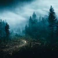 濃霧に包まれた出口の見えない登山道の林間風景の写真