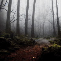 山奥に発生する濃霧の中の山道を進む登山者のための風景の写真
