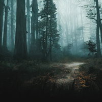 ガスが立ち込める視界不良の山道を進む登山者の視点の写真