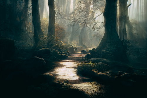 霧立ちこめる古い森の光る小道を照らす朝日