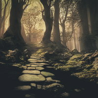 光差す妖精の森で迷い込んだ登山道と苔むした石畳の写真