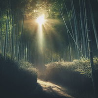 竹林に挟まれた道に差す木漏れ日の並木道を歩むの写真
