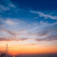 枯れ木と黄昏のサンセット、地平線に染まるオレンジ色の夕焼け空の写真