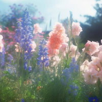 明るくふわふわな光と花壇の写真