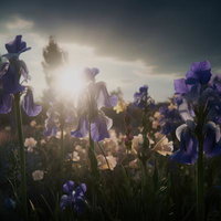 朝日に照らされた花壇の紫色アイリスと白い花たちの目覚めの写真