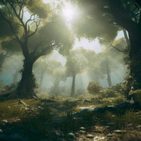 静寂の森の朝 薄明光線が描く森林のアートの写真