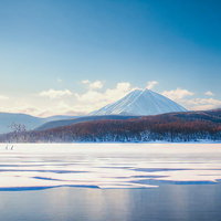 雪山を背景に青空の下で凍結した湖上を飛ぶ渡り鳥の写真