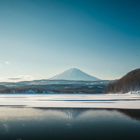 雪山を背景にした冬の湖と渡り鳥の風景の写真
