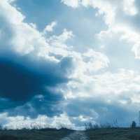 帰り道、雨雲が広がる青空の風景、草が茂る野原の天気変化の写真