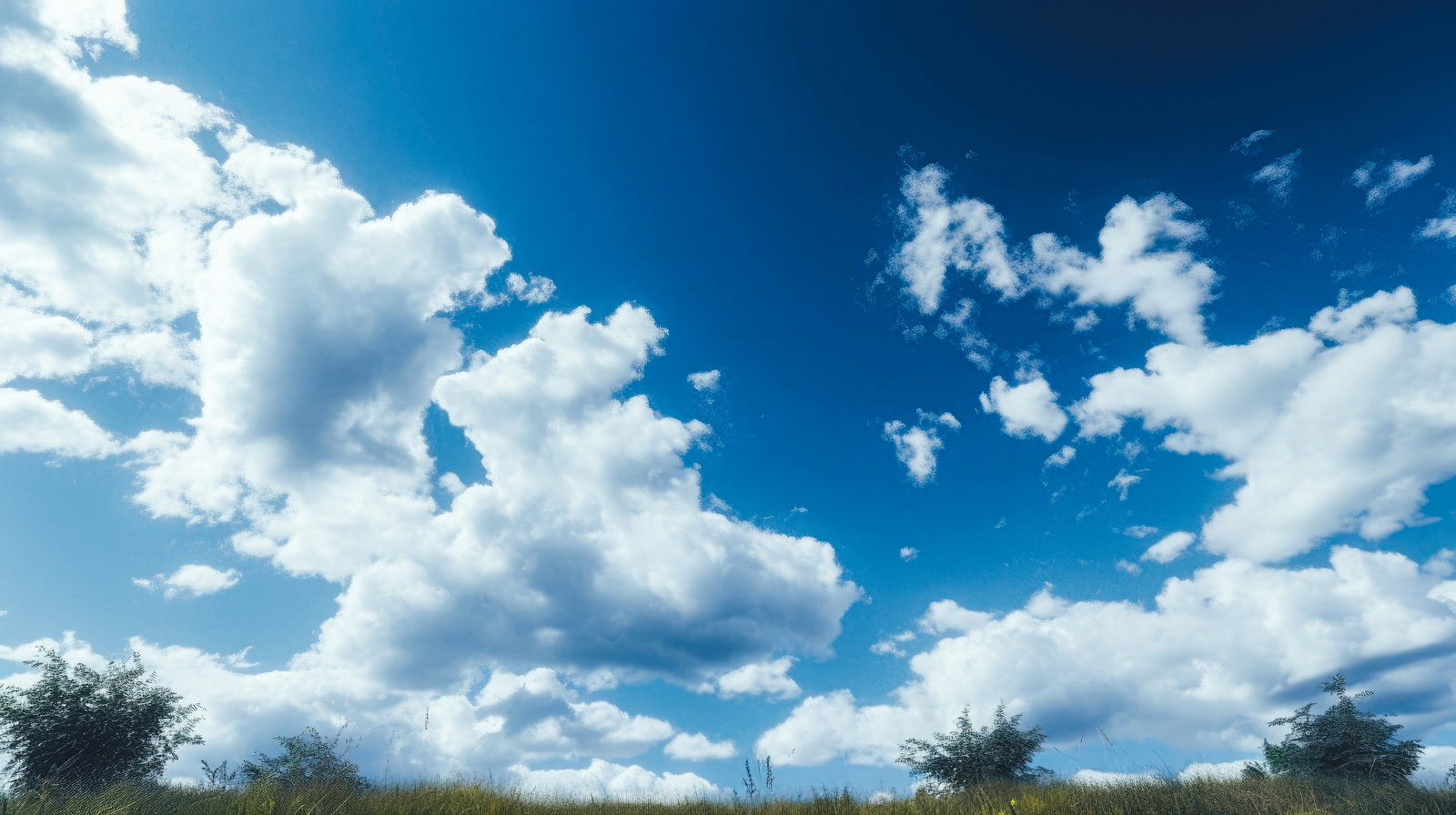 原っぱから見上げた青空に白い雲が浮かぶ晴天の風景