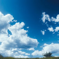 原っぱから見上げる青空に浮かぶ白い雲と緑の草原のAI画像