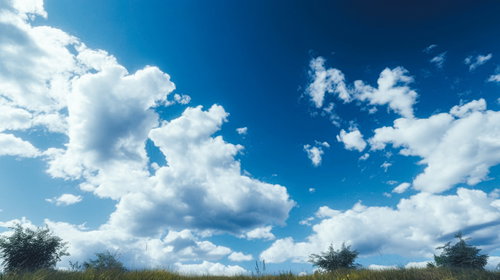 原っぱから見上げる青空に浮かぶ白い雲と緑の草原
