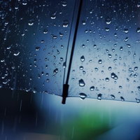 夜雨で濡れた傘についた水滴の写真